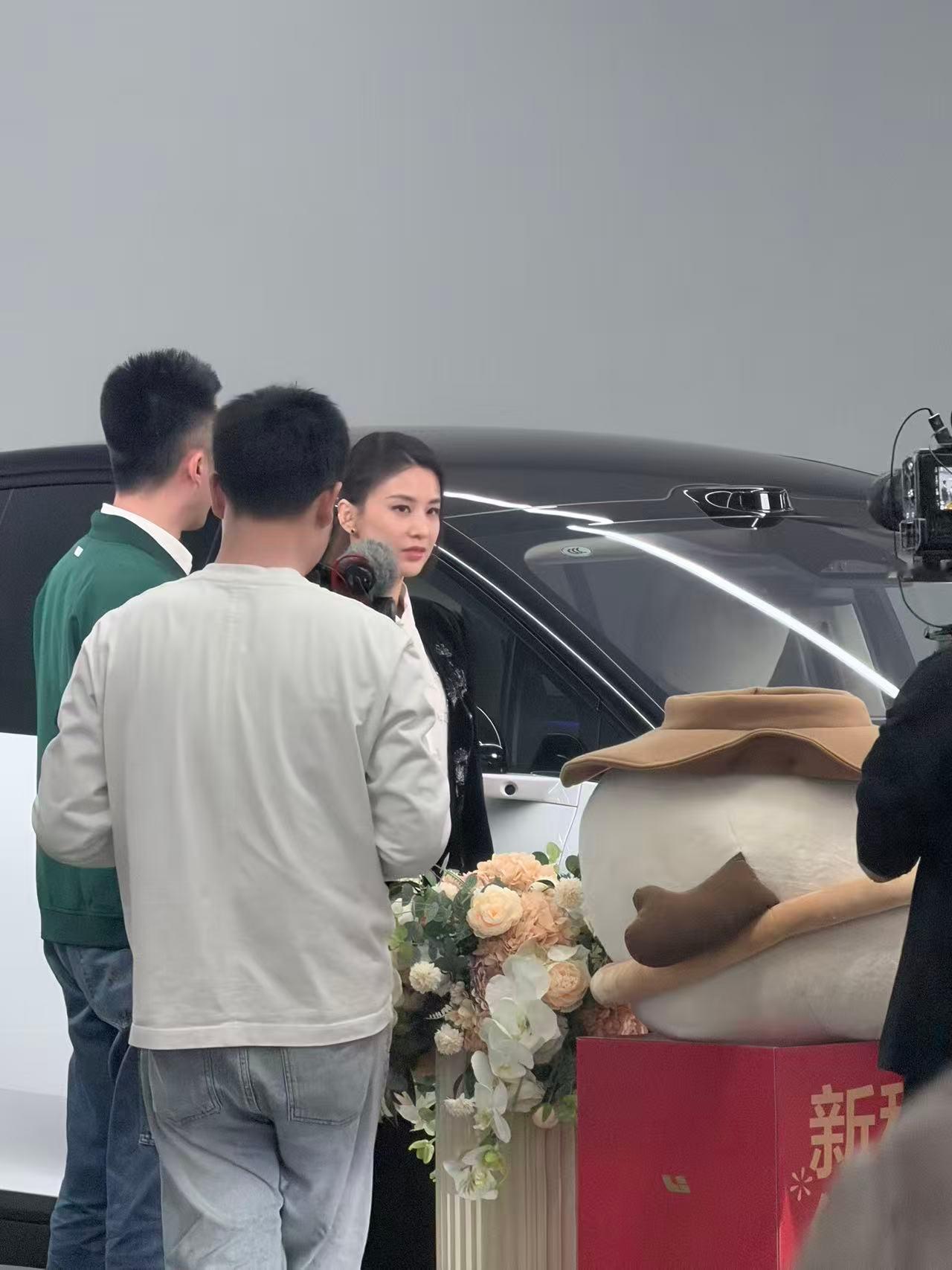 黄圣依提的是哪款理想汽车？