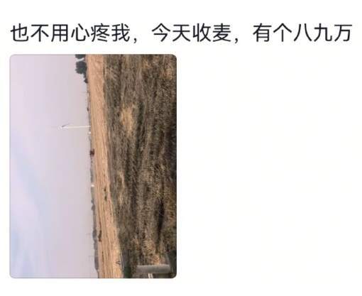 看起来不体面的工作能有多挣钱 