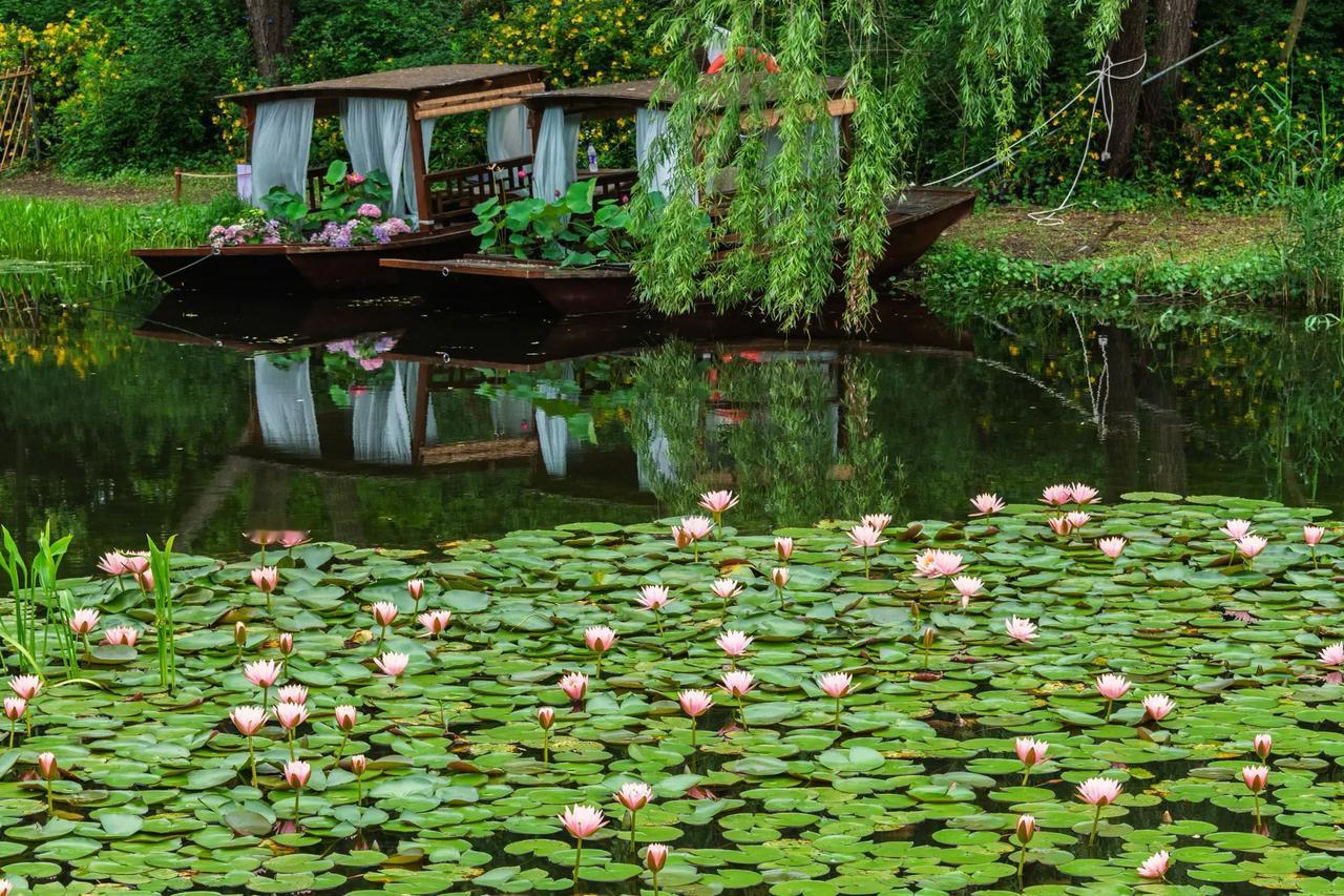 苏州虎丘湿地公园。苏州虎丘湿地公园诗情画意的荷塘美景