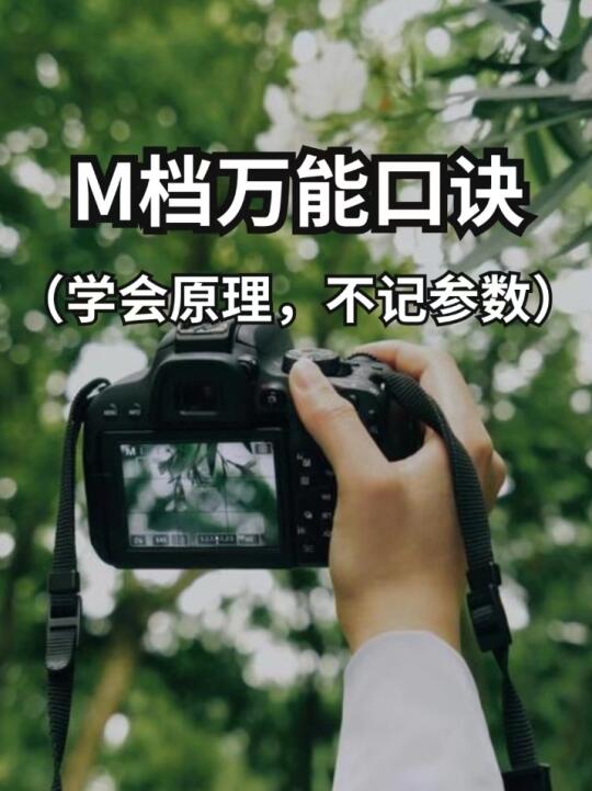 m档万能口诀❗️拒绝死记硬背❗️