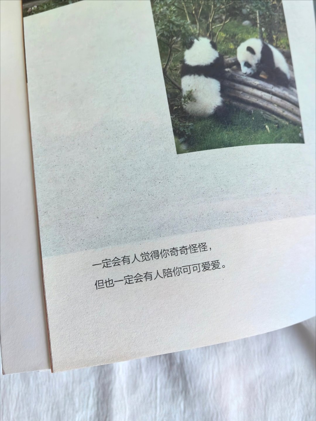 超治愈被这本书救赎了千万次️ ​​​