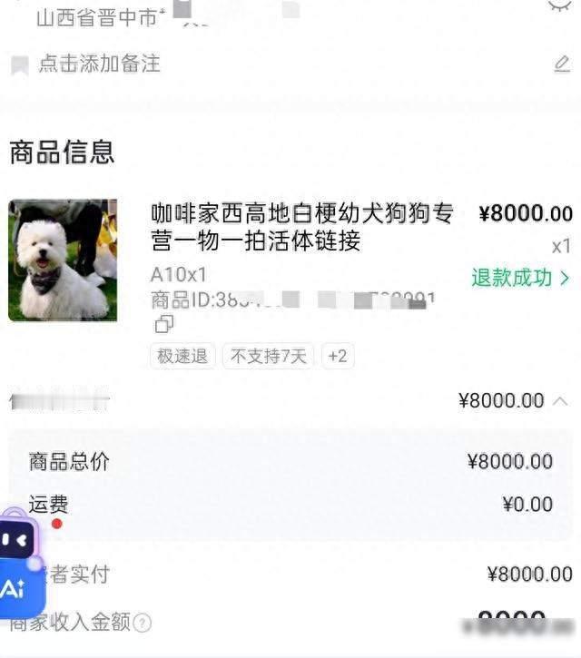 8000元宠物狗仅退款，商家驱车600公里上门寻狗，顾客称狗已病死