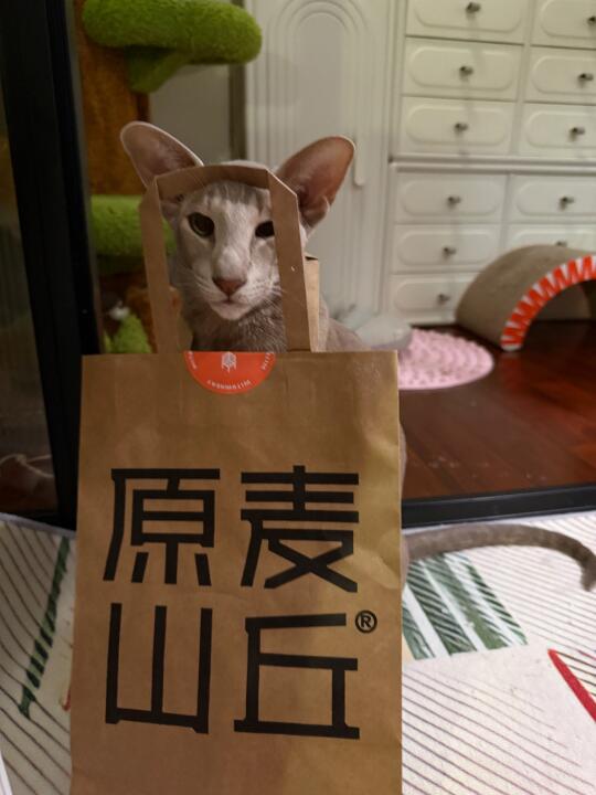 该