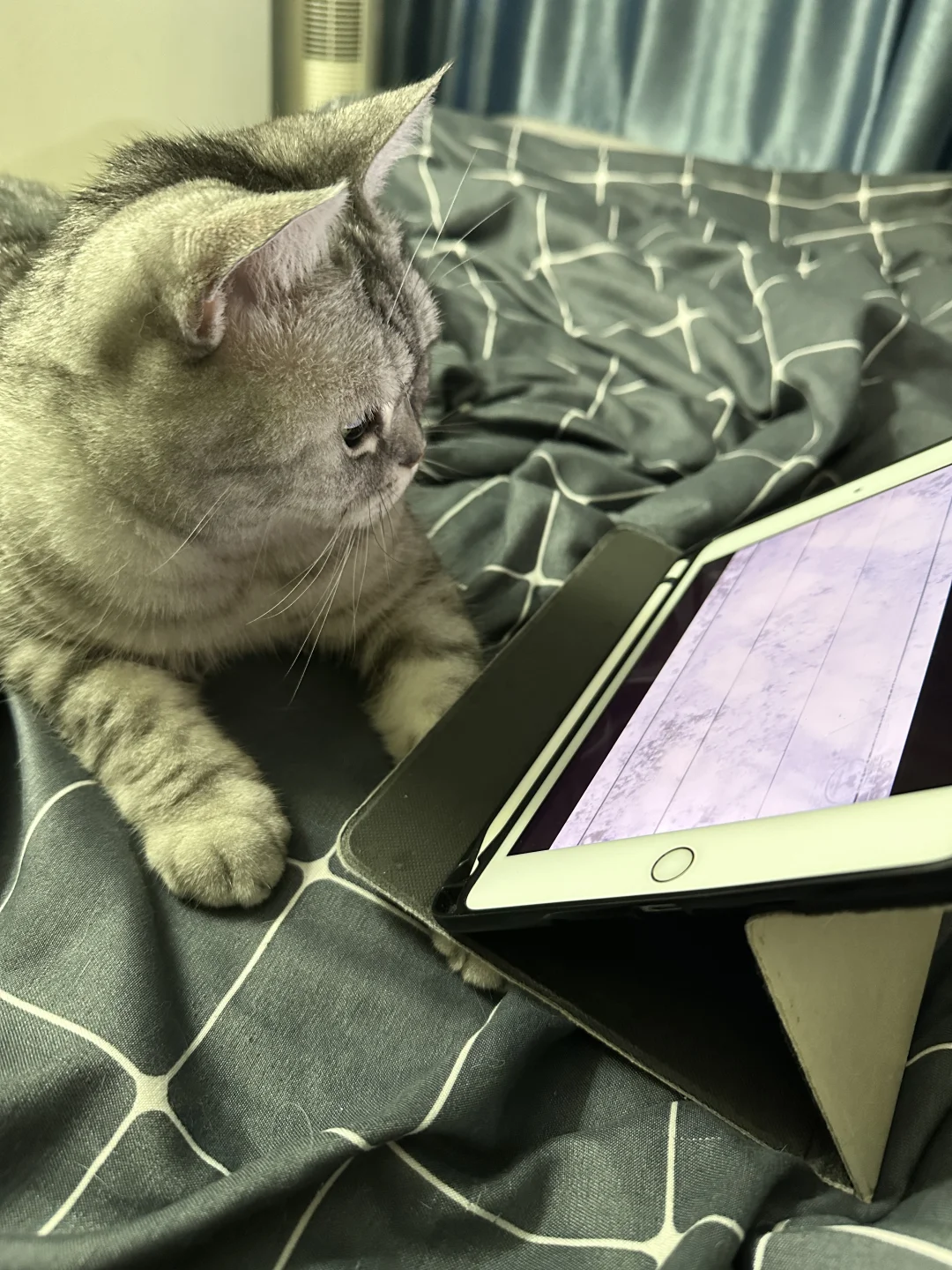 再看就要近视啦！