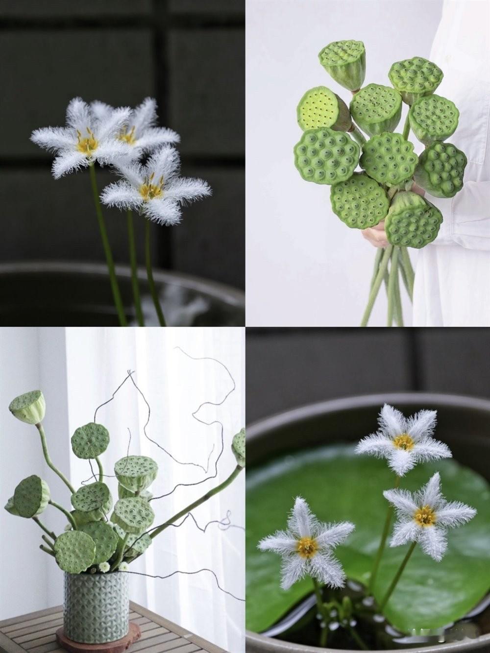 分享手机里的花花草草这样拍花你喜欢吗？我觉得这样才能让花更有魅力，更有表现力，更