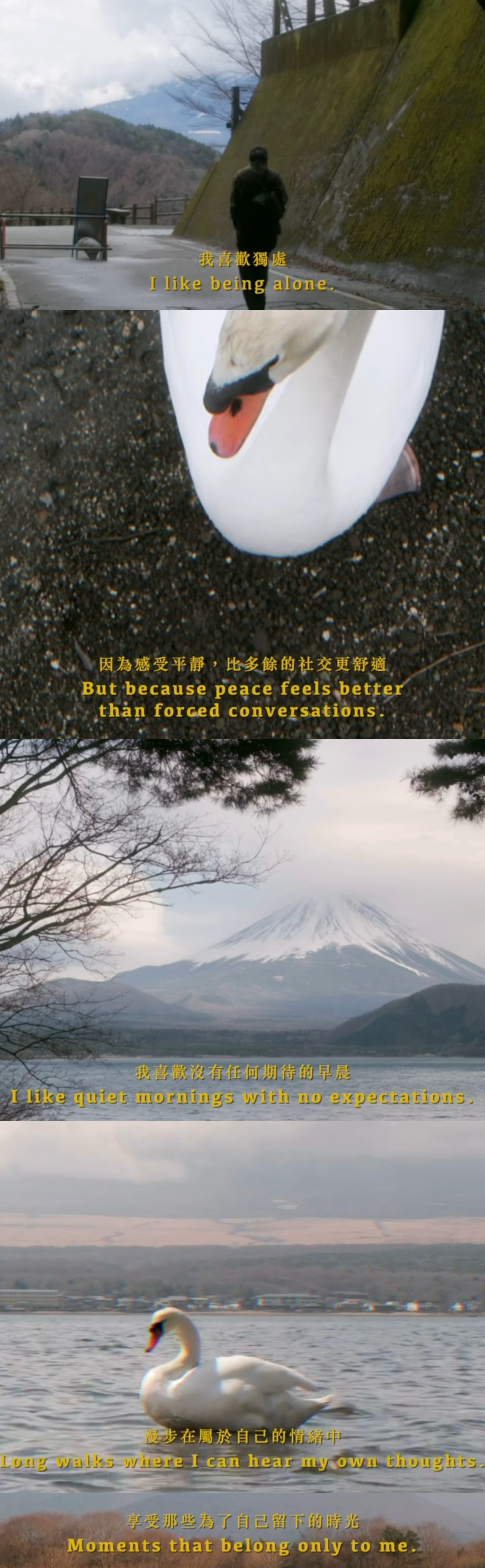 “因为感受平静，比多余的社交更舒适。”喜欢独处的人一定对这段话很有共鸣： ​​​