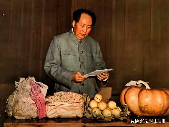 1953年土地改革后百姓迎来丰收，便将劳动成果送到了毛主席身边，诉说着田里的丰收