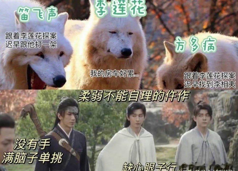 #成毅曾舜晞肖顺尧新剧分工#成毅曾舜晞肖顺尧三人小组成立。不同的性格也会给我们带