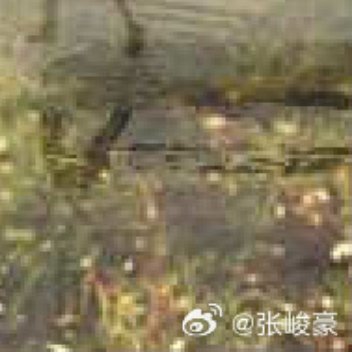 0000善不可不弘，恶不可不去。善心人人有，快乐你我他。善念养善心，善心生善念。