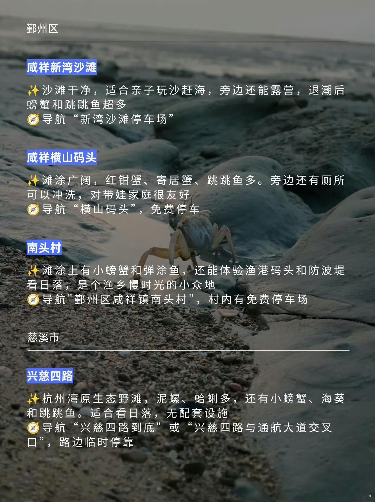 宁波国庆免费赶海地实用攻略来啦 宁波免费赶海地🤩实用攻略来啦‼️附地址国庆放假