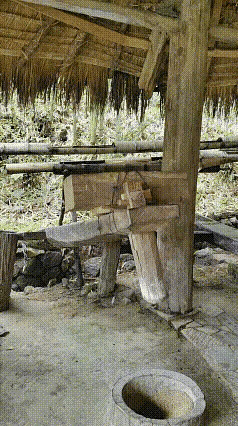 老祖宗的智慧[赞]