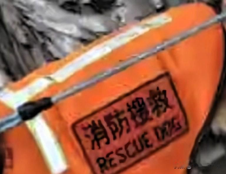 痛心！四川唯一功勋搜救犬外出如厕遭盗杀，凶手牟利竟痛下杀手
 
今天刷到这条新闻