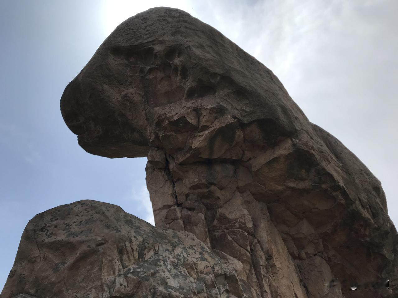 九仙山的美，不只有大峡谷和万亩野杜鹃，依我看，九仙山的奇石也称得上一绝。
游览九