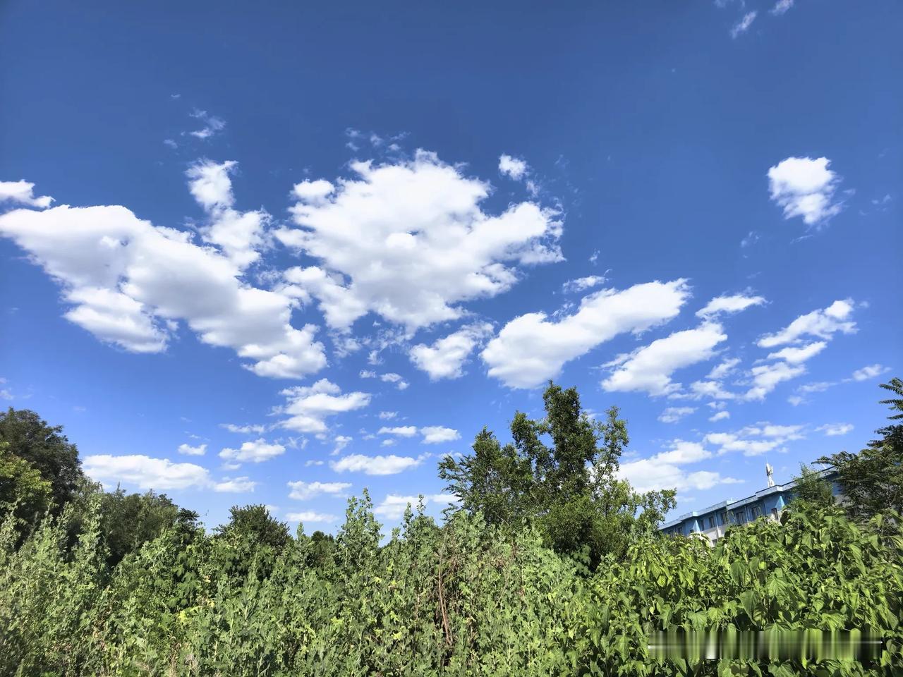 我的21900不翼而飞了，知道这一消息，顿时感觉胸闷，不过对于我这种脸厚心宽胃口