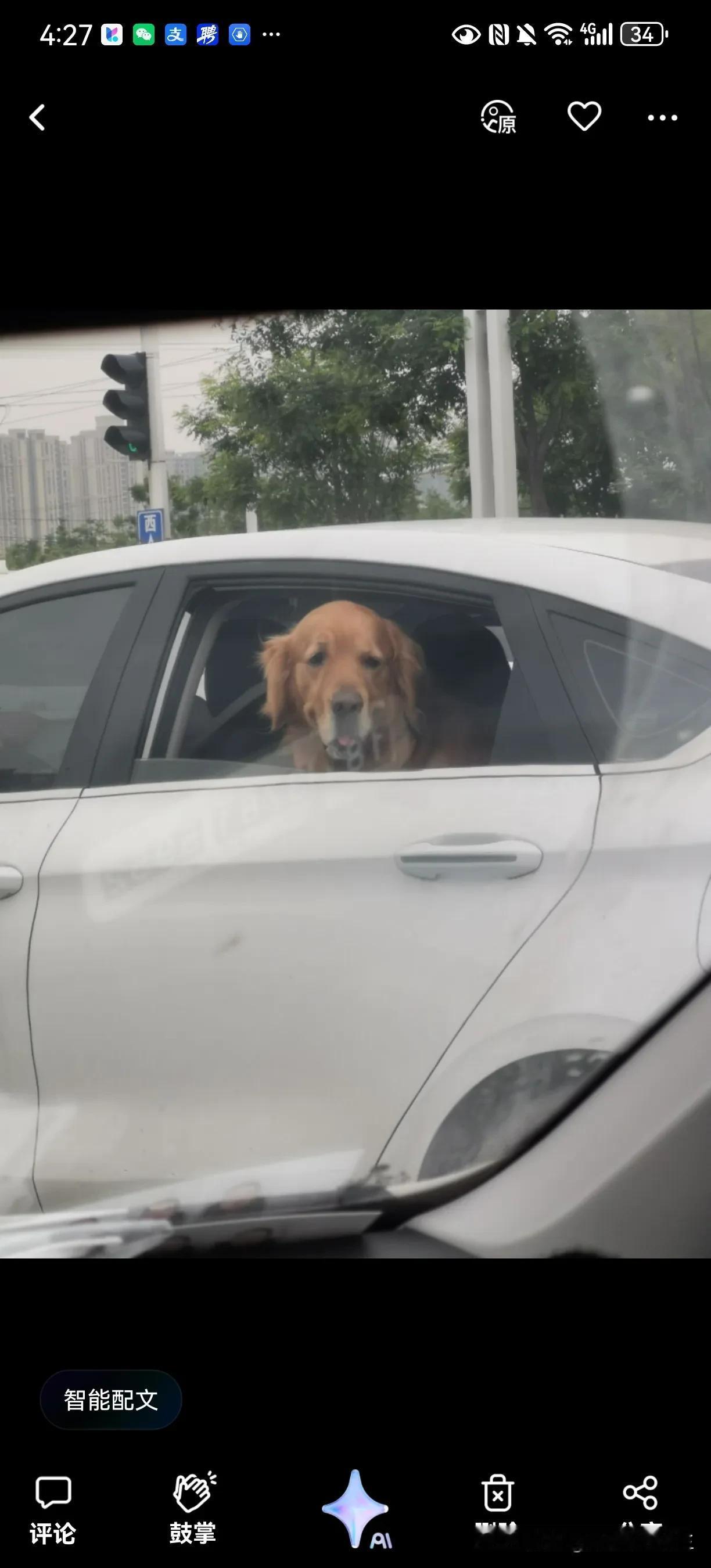 再看我！！！再看我把你炖掉！！！