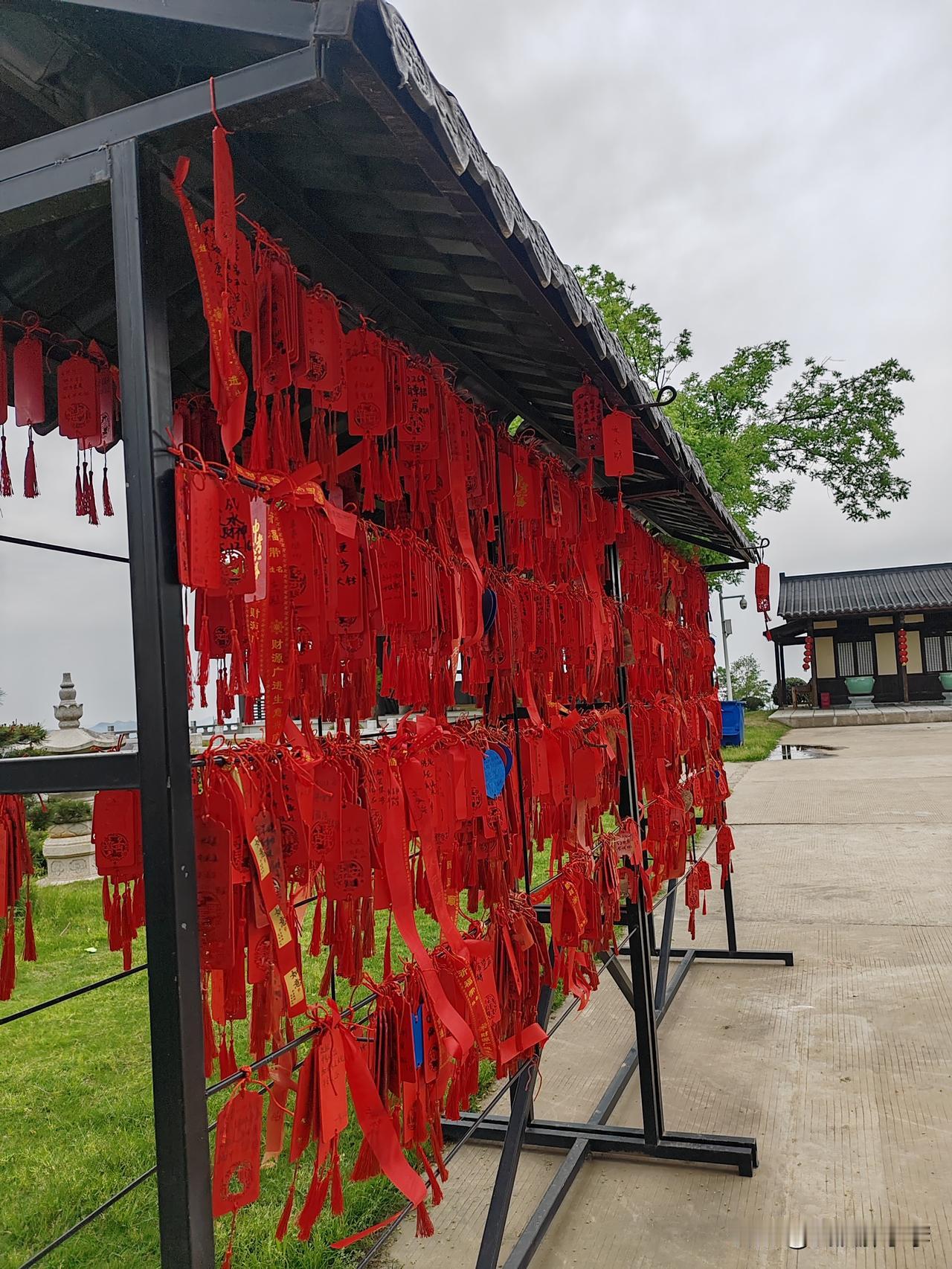 最近每天五点多起床，洗漱后自己做早点吃完休息一会，骑电动车出发锻炼身体，我喜欢一