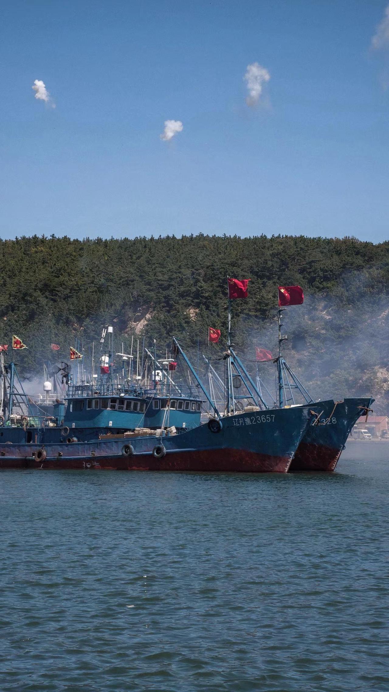大连正式开海！祝渔民们满载而归把纯正血统的大飞蟹 虾爬额的价格打下来！  大连