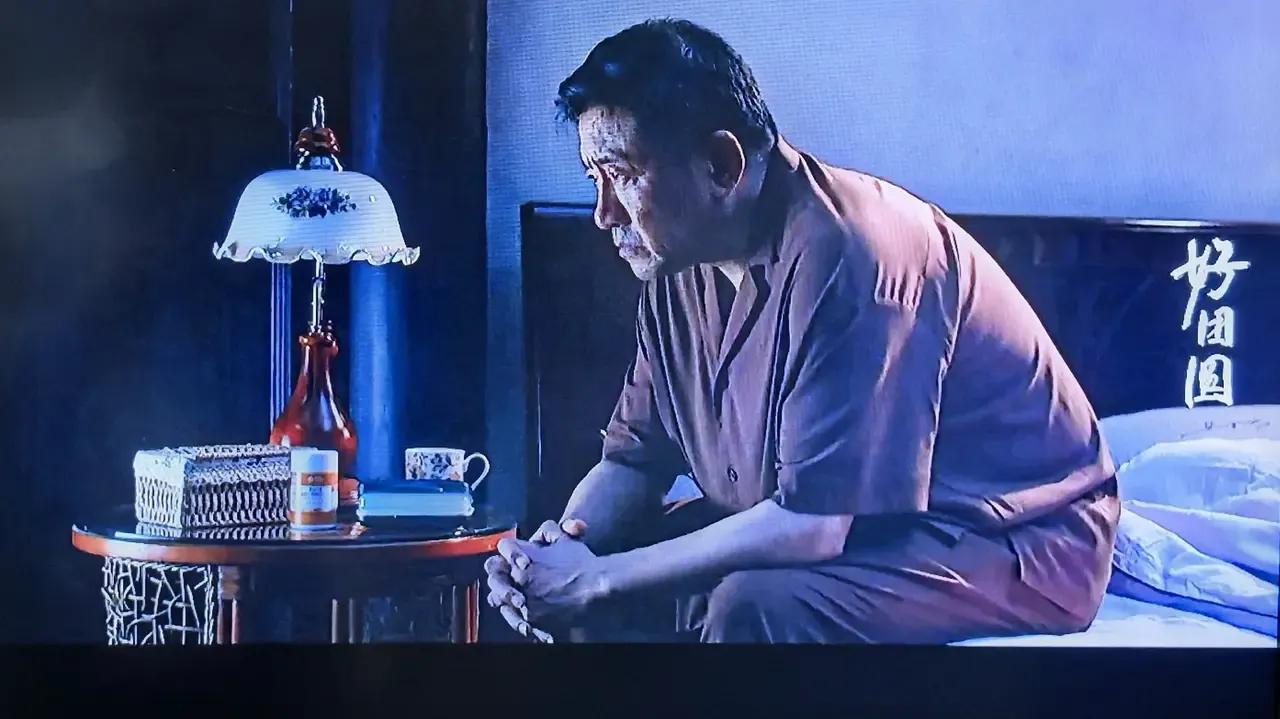 都市剧《好团圆》，像是“谍战剧”，局中局，起伏跌宕，百感交集。回顾剧情，老向重“