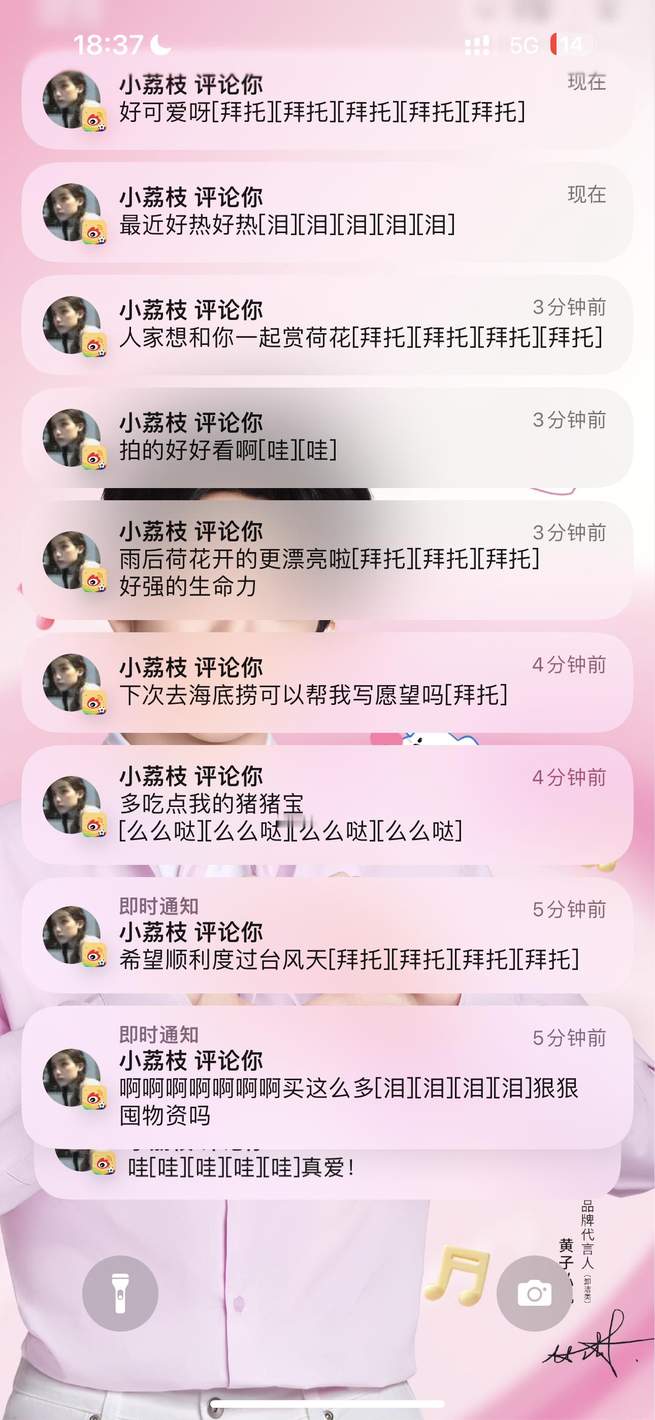 小荔枝对我是真爱