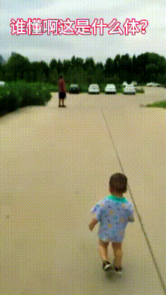 请书法专家鉴定一下，这算什么体？


乖乖，行云流水，龙飞凤舞，一气呵成！
艺术