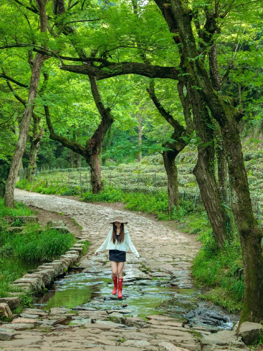 比起西湖，我更爱杭州这3条春日徒步路线！🌳