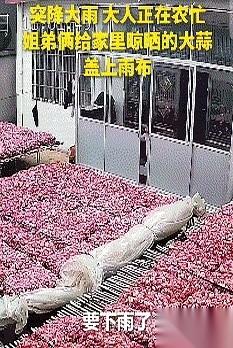 天，一下子就黑了。
江苏邳州，狂风卷着土腥味灌进院子，一万斤刚收回来的大蒜，白花