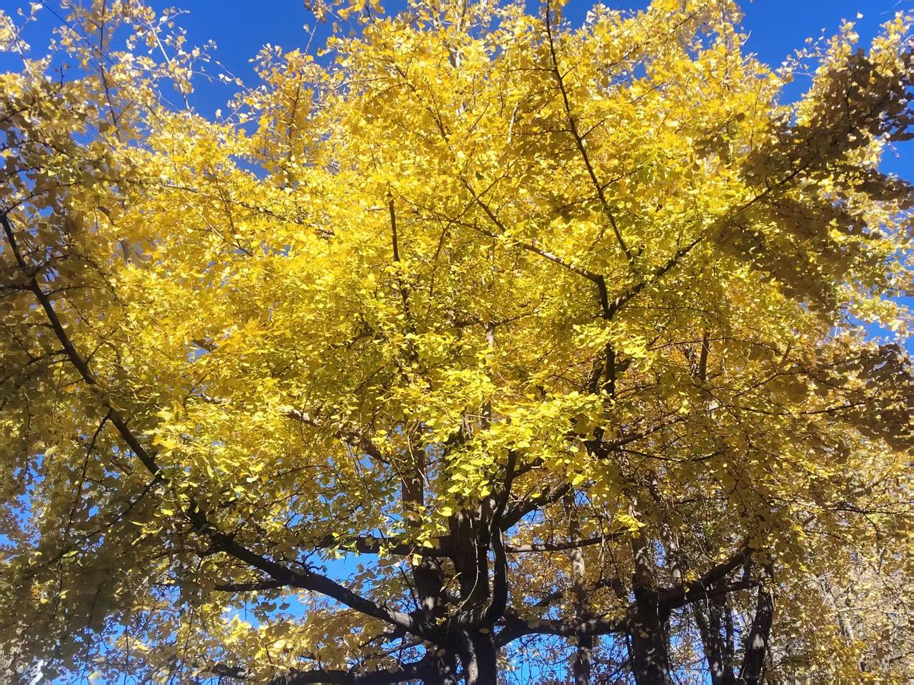 南唐与唐朝有什么关系?南唐和唐朝没有任何的关系，唯一的瓜葛就是南唐沿用了唐朝的国