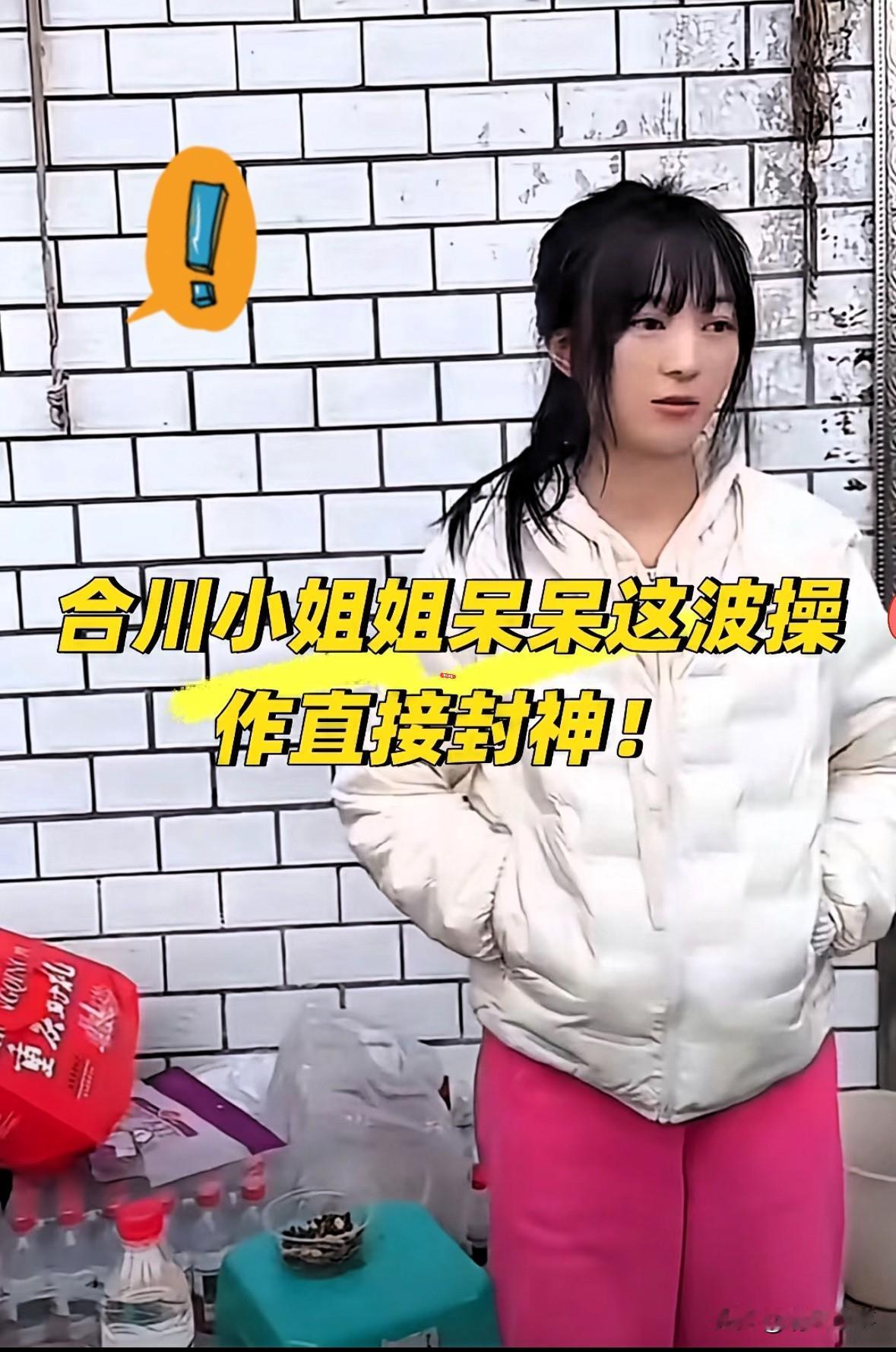 合川文旅苦心经营好几年
输给了两头年猪
看着挺荒诞，细品全是道理。

呆呆当初哪