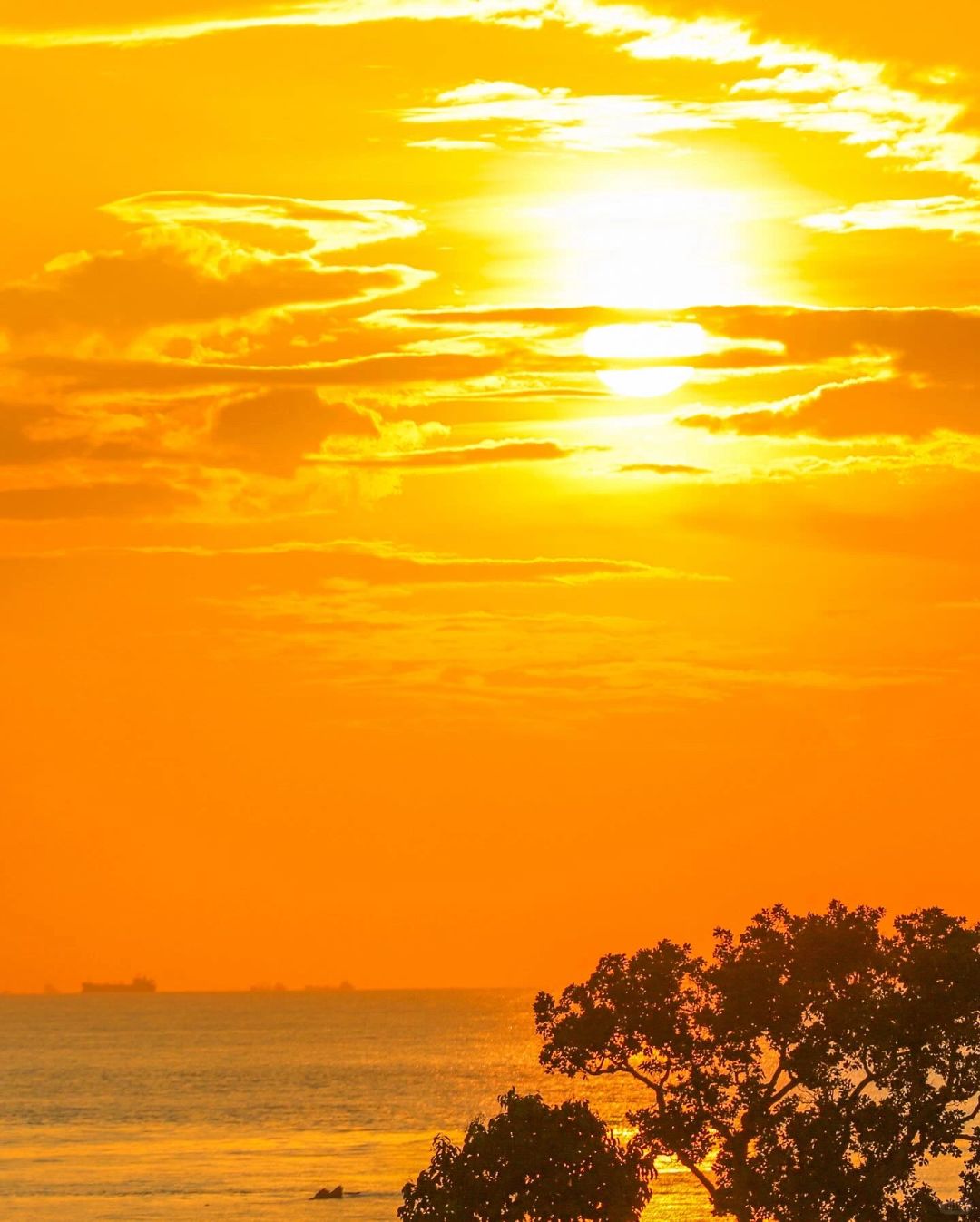 🌴 迪沙鲁威斯汀酒店，奢享沙滩假期 🏖️✨
柔佛新山是马来西亚西最南端城市，...