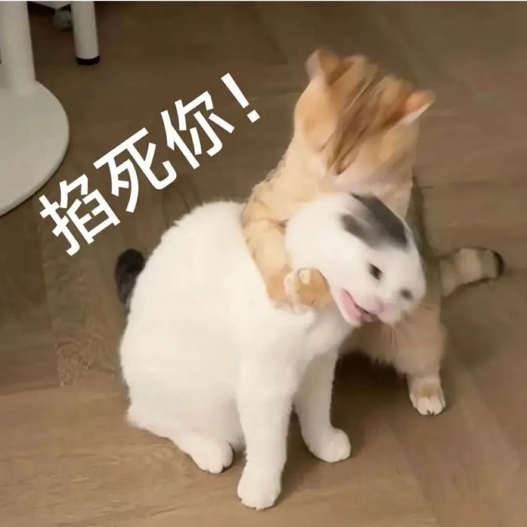 迟早要被粉丝给活活气死[泪]太下流了！ 