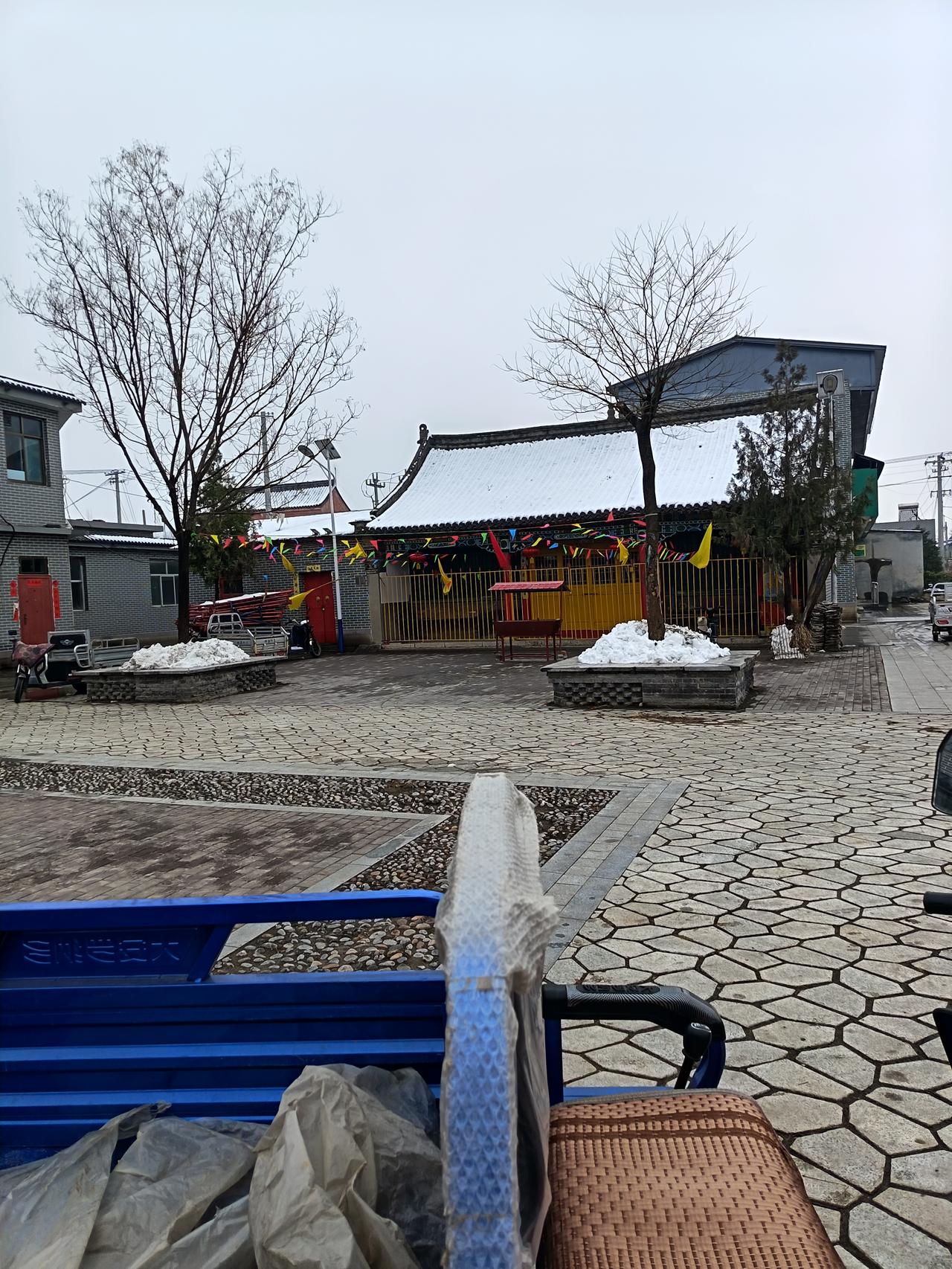 天南地北大拜年