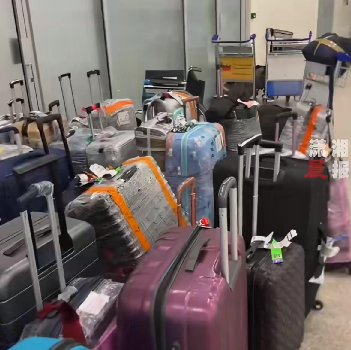 埃及航空两趟航班丢失310件旅客行李，航空公司回应“这是常规操作”
埃及航空在4