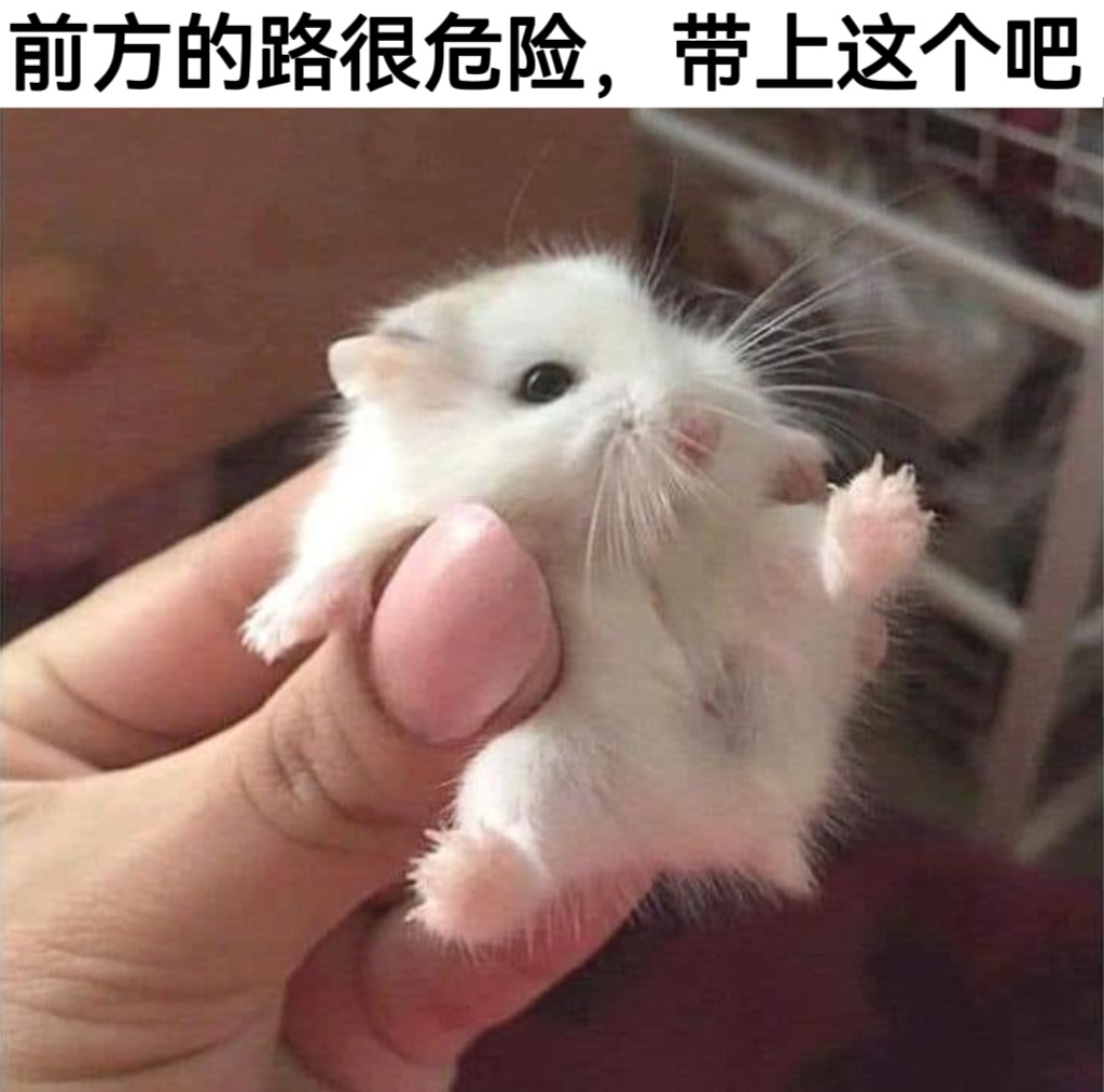 你可能会需要这个 