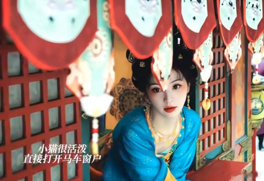 在《子夜归》里，有对超有趣的组合。一个似活泼小猫，一个如稳重小蛇，人前是针锋相对