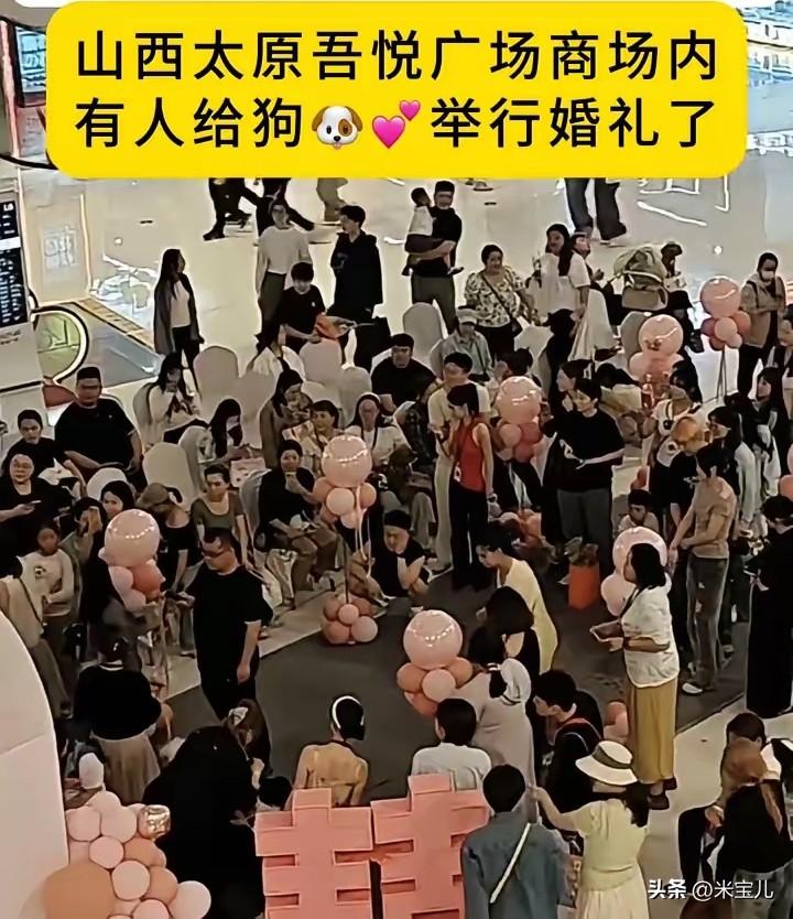 真是笑死个人了，
人结婚婚礼都一切从简了，
狗狗倒是开始办开隆重婚礼了。
真的是