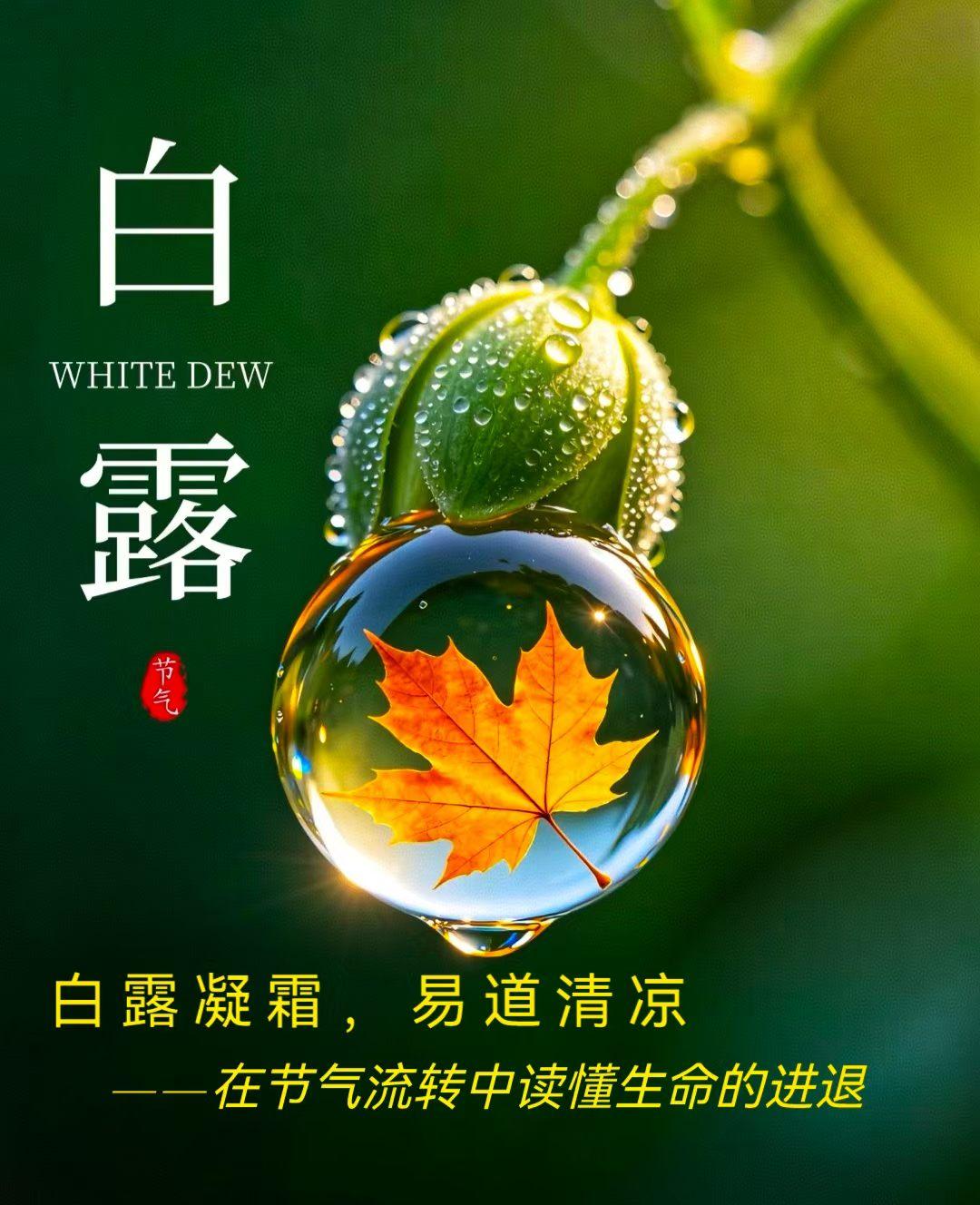 今日白露，体感完全是“秋夏拉锯战”的状态。
前天下班穿长袖外套走十分钟，胳膊凉丝