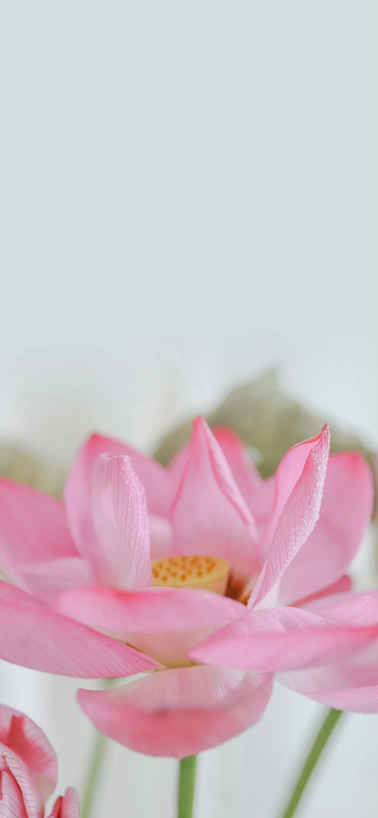 
自己不偷不抢的赚钱，永远不丢人。
如果生活过得去，谁想干体力活，但是吃苦耐劳的