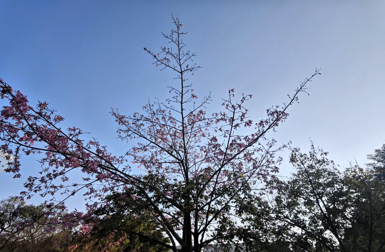 天空的颜色不一样