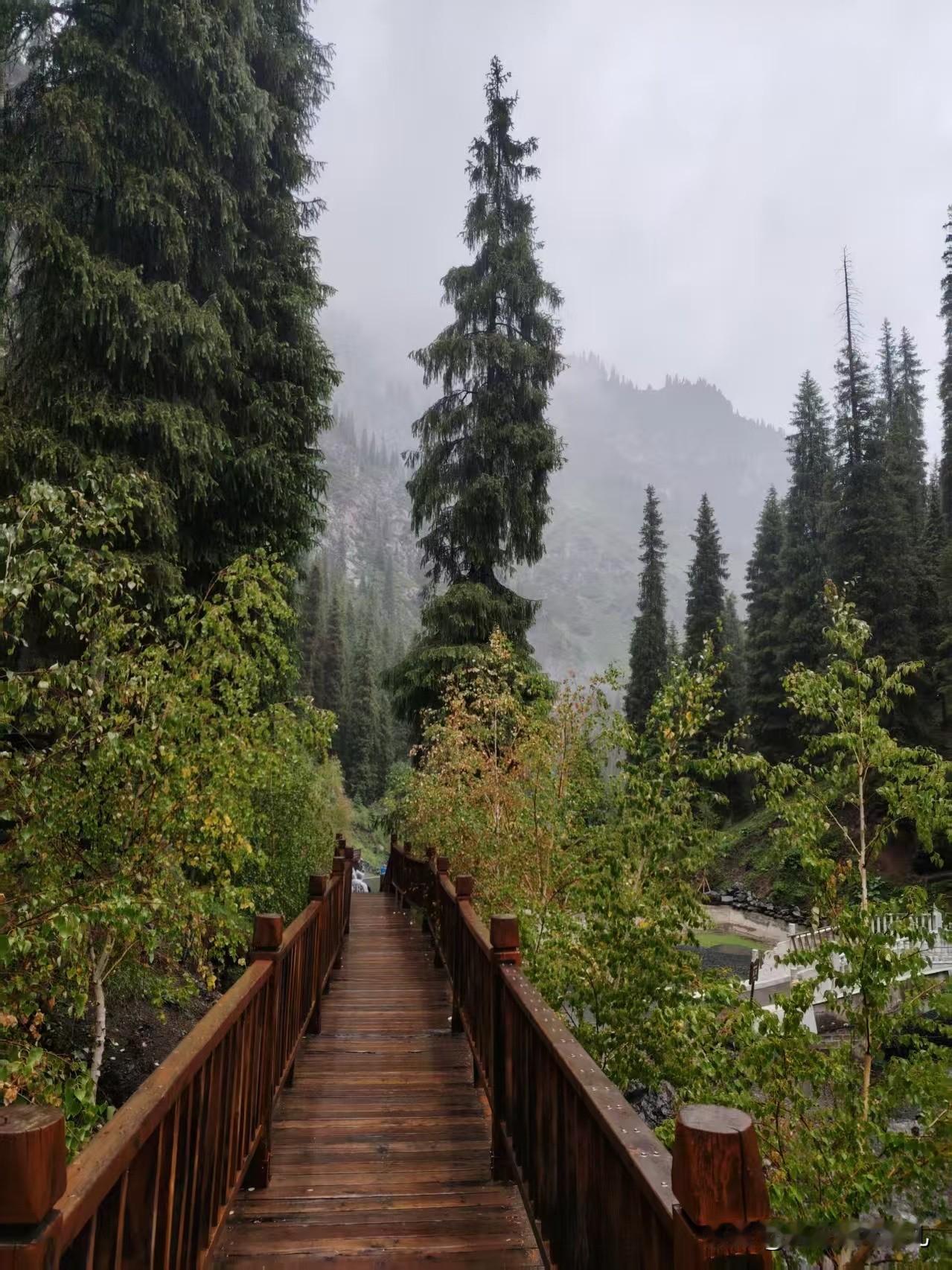 今年值得纪念的事情
去了新疆，去了贵阳，去了南京
已经好久好久没有出去旅游了
虽