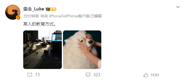 卢克拆家栾念下班回到家天塌了 栾念下班回到家天塌了，谁能想到卢克这么能拆家呢？不