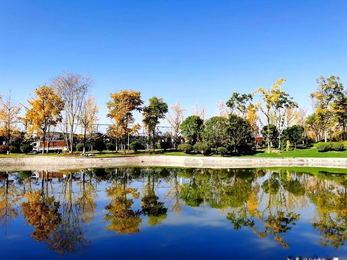 根据今年各县区市中考分数段统计。
学校把条件摆得明明白白，他们告诉630分的学生