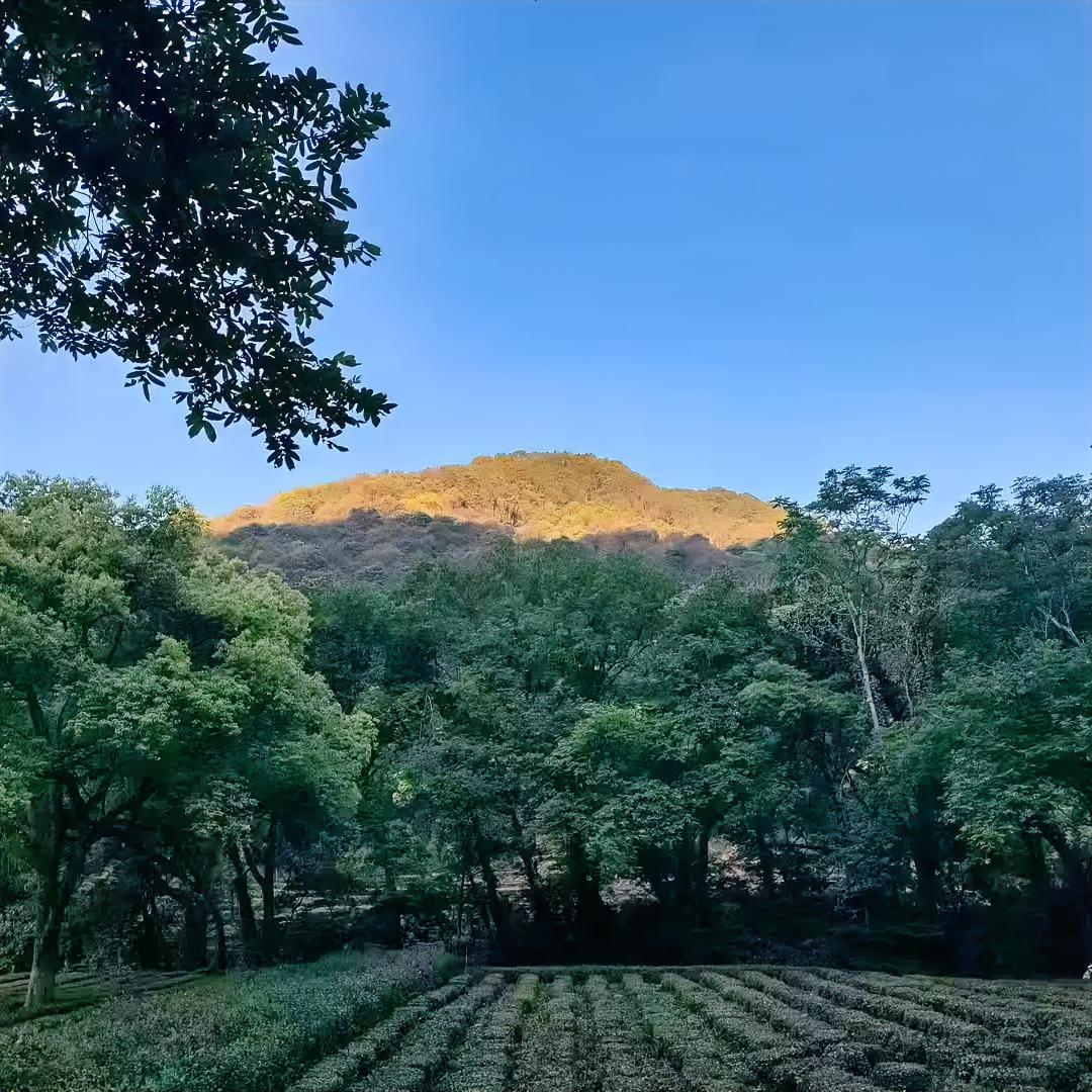 有段话格外扎心：你当下的焦虑，大多是既没能力改变现状，又没勇气推翻重来，最后只能