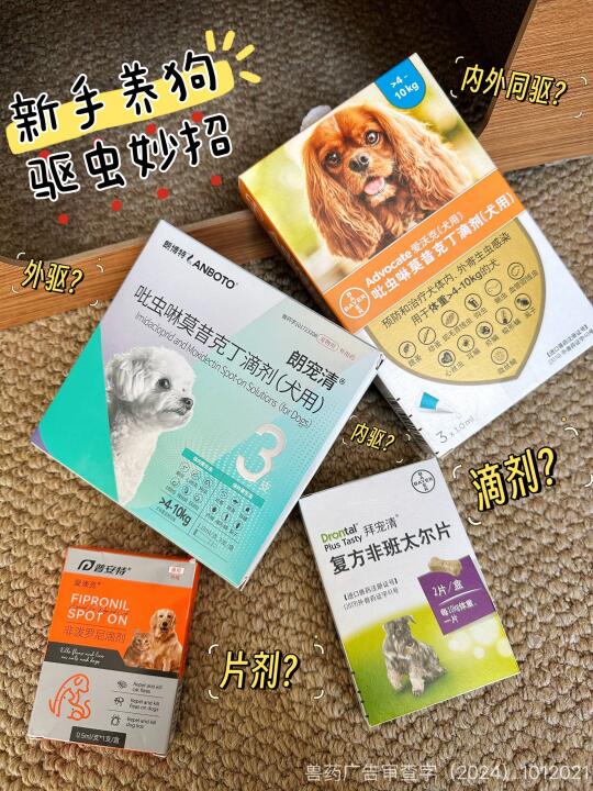 新手养狗人必了解的狗狗驱虫