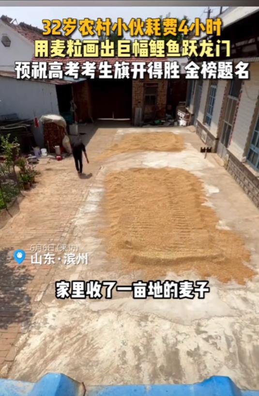 6月6日，山东滨州一农户将家里一亩多麦子收了以后，看着院子里的麦子，32岁小伙子