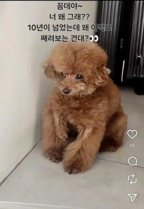 与朴娜勑「注射阿姨」争议无关！。SHINee Key因海外演出行程，才没有参加《