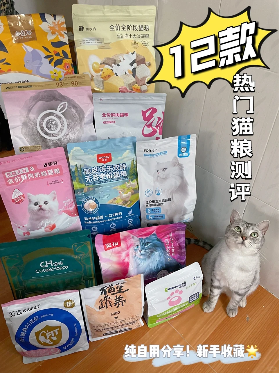 12款猫粮测评分享！纠结选粮的铲屎官看过来