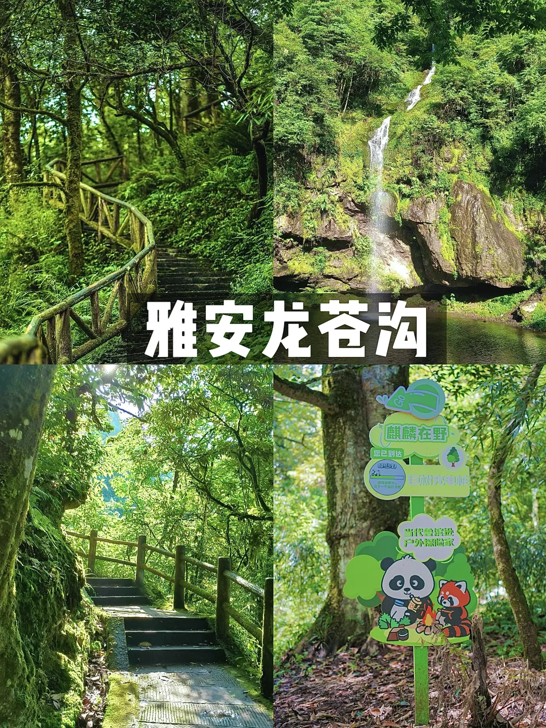 龙苍沟秋日🍂徒步攻略 ‼️解锁麒麟环线奖牌