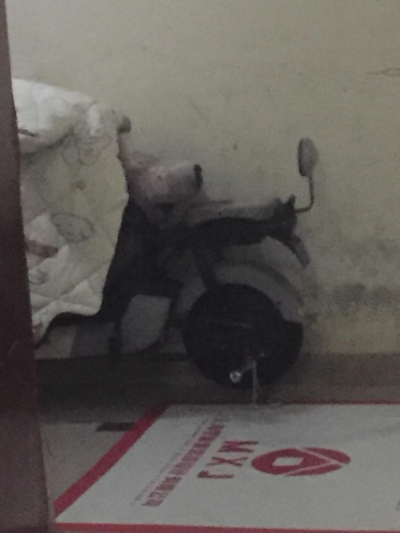 上海电视剧，如玫瑰的故事。里面老洋房的楼道，以及黄奕玫后来租的石库门排楼，导演刻