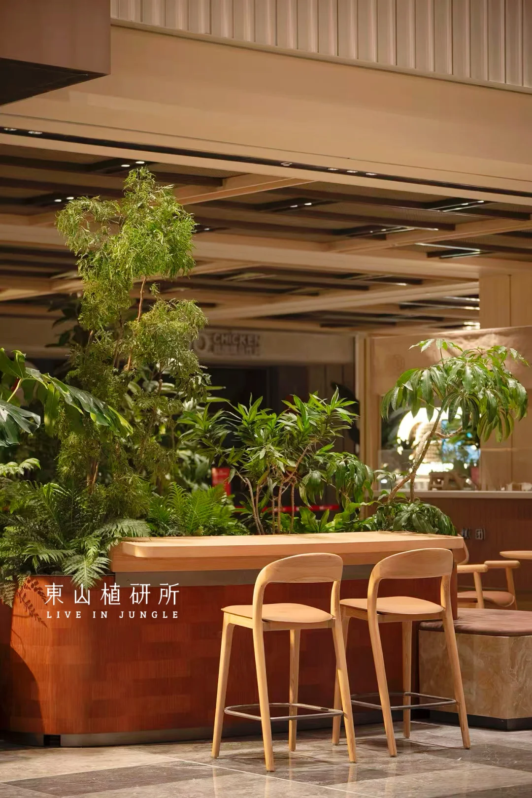 绿植造景|苏州万象天地 古城邂逅自然绿意