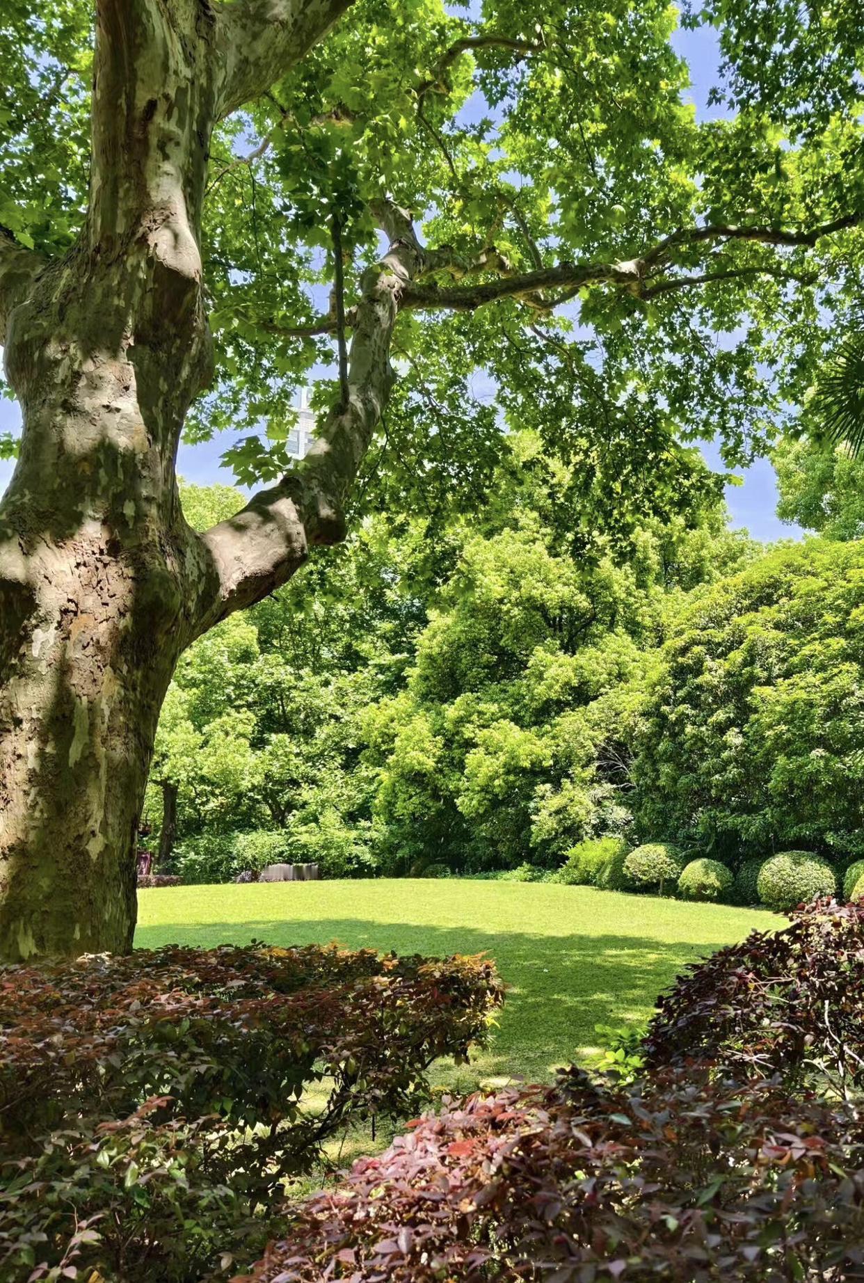 我的今日状态：😁轻松愉快
我这里的天气：☀️晴天
常州今天天气刚刚好，不冷不热